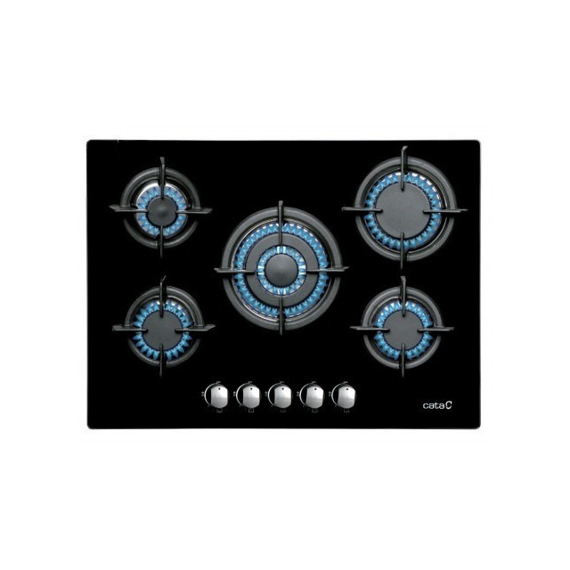 PLACA CATA L-7005 CI  A