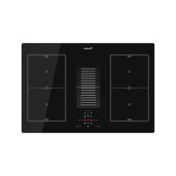 INDUCCION CAMPANA CATA AS 750  A