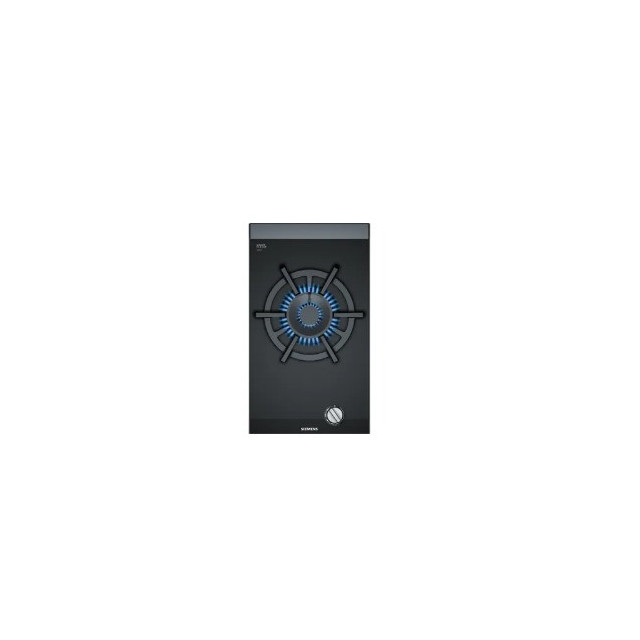 PLACA SIEMENS ER3A6AB70 30CMS.1GAS
