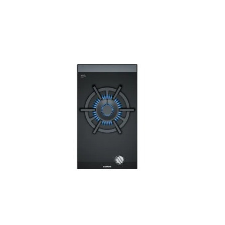 PLACA SIEMENS ER3A6AB70 30CMS.1GAS