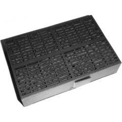 FILTRO CARBON C2R (C 6310)